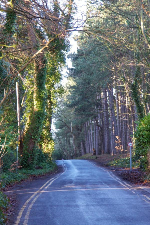 Formby Pinewood Studio B&B 외부 사진
